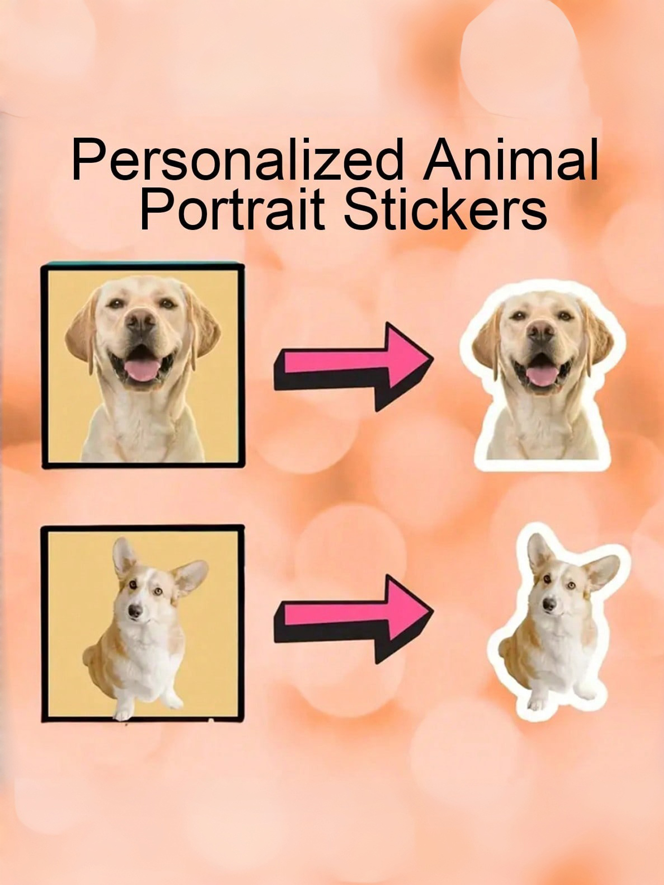 Customized Personalized Photo Stickers Pet Photo Stickers